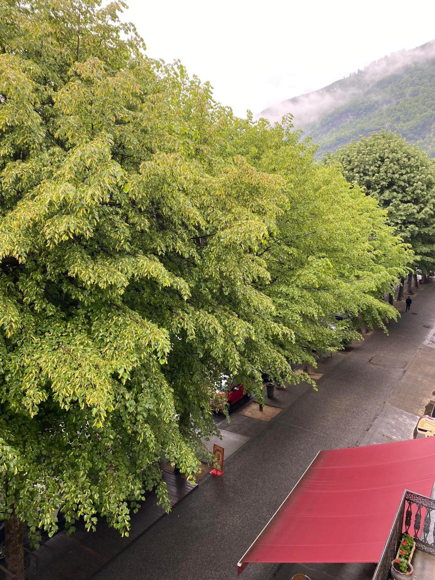 Au 47 Allees D'Etigny - Central & Standing - Avec Parking - Linge De Lit Et De Toilette Inclus Bagneres-de-Luchon ภายนอก รูปภาพ